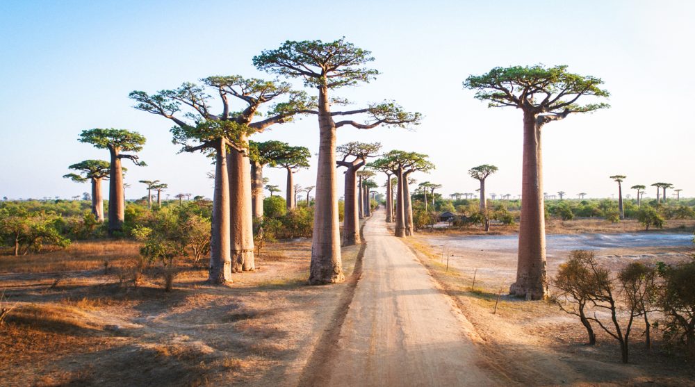 Isla de Madagascar 2026