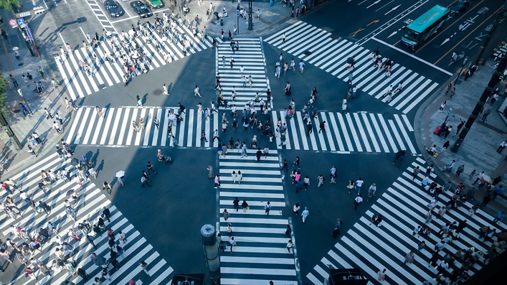 Japón 2026 - Imagen 8