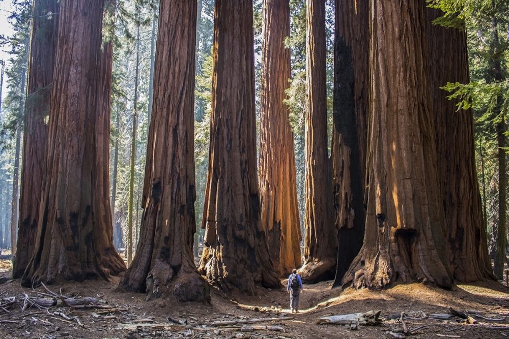 California en profundo 2026 - Imagen 8